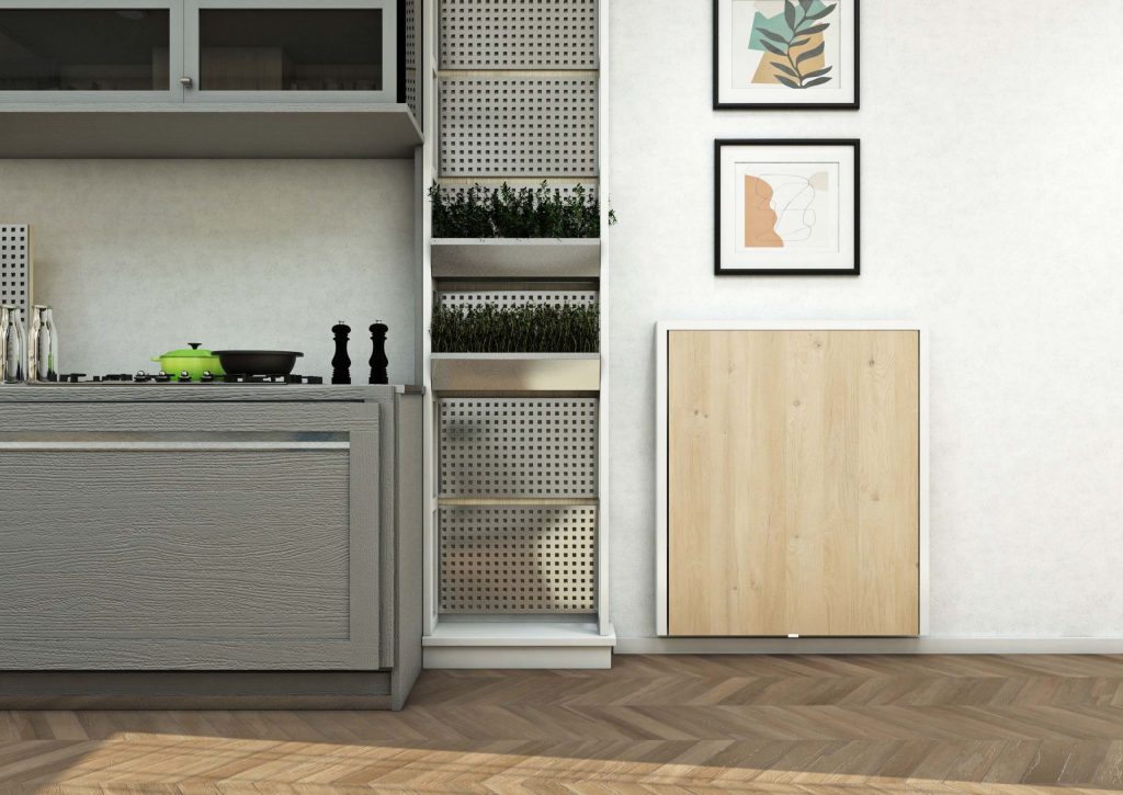 froggmasa_mekanli2-scaled